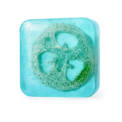 Loofah Sea Salt Soap